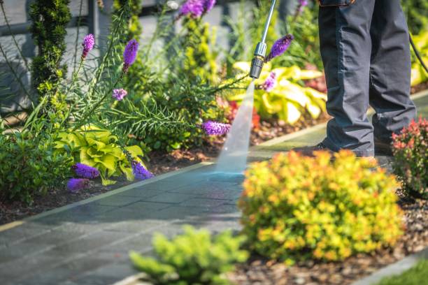 Best Patio and Deck Pressure Washing  in Pleasant Hill, MO